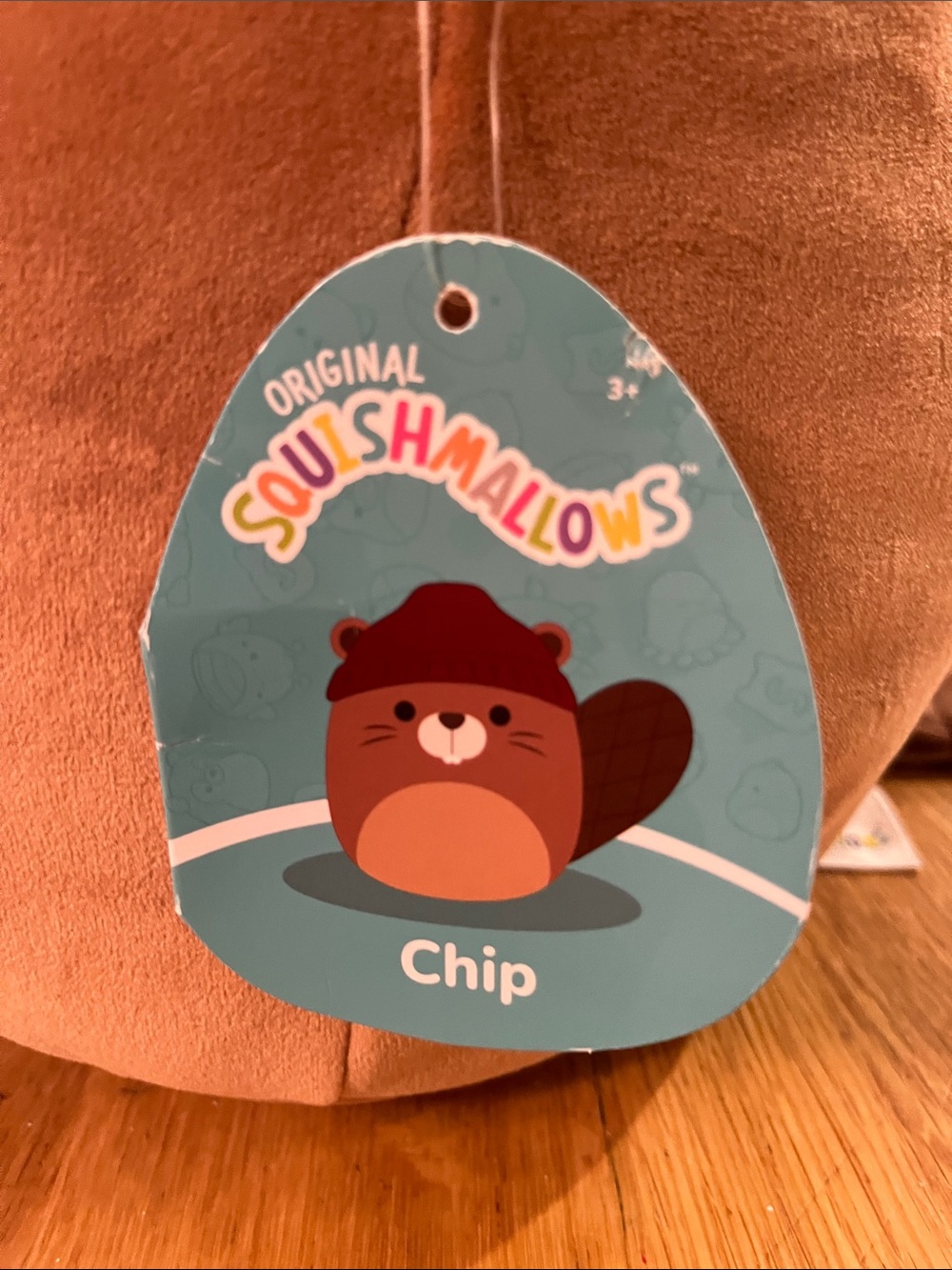 Chip - Picture 3 of 6